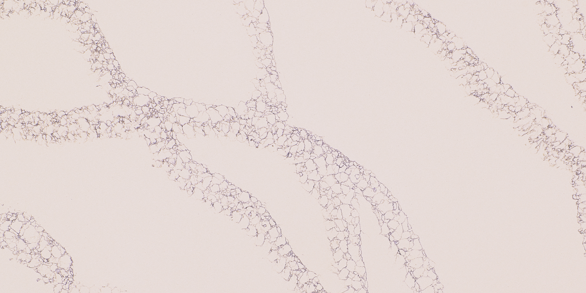 Burgandy Beige Glossy Hybrid Surfaces